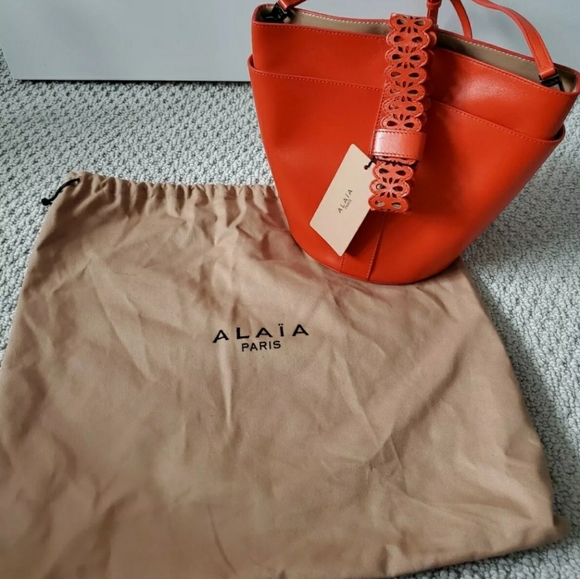 Alaia Paris Bag - Picture 5 of 5